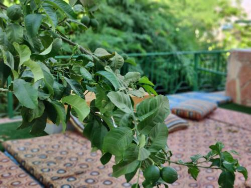 Bed & Breakfast Ahla Dive Time