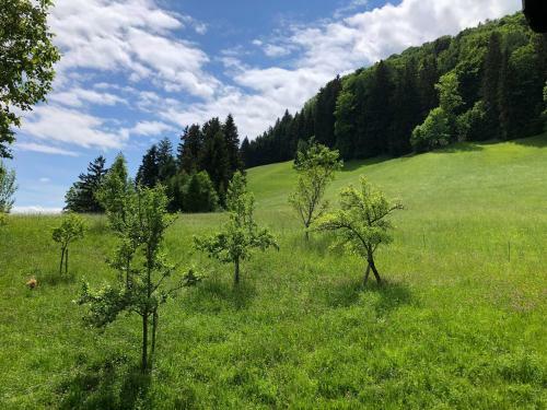 Apartamento Kailgut
