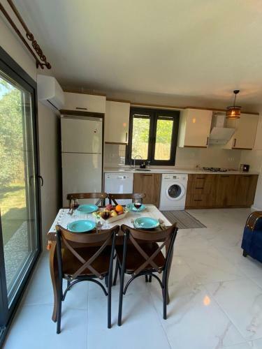 Villa_olive
