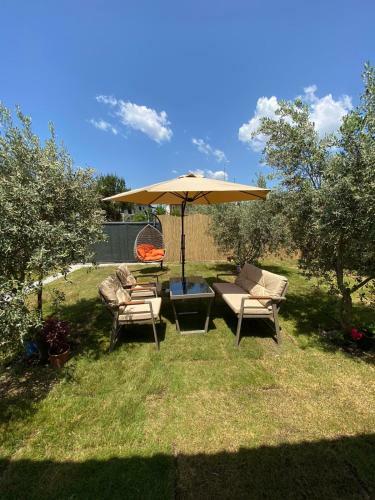 Villa_olive