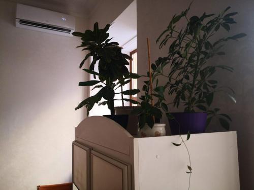 Apartamento ?????? ??????????? ?????????????, 13
