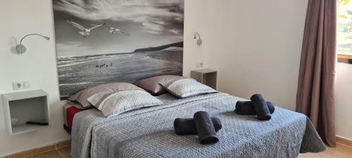 Fuerteventura Apartments Tamarindo II