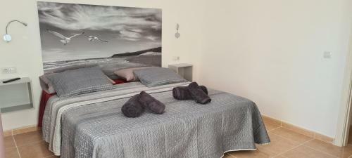 Fuerteventura Apartments Tamarindo II