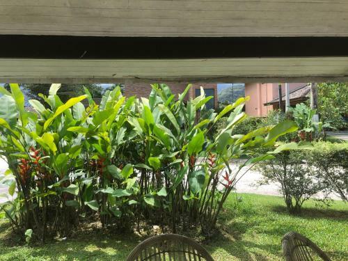 Casa Com Piscina Ubatuba