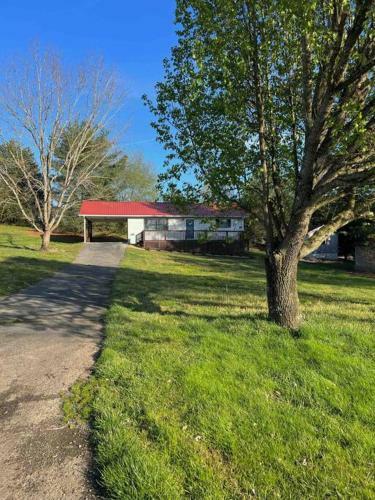 New Cozy Cottage 4 Mins Away From Douglas Lake