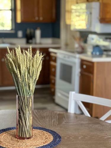 New Cozy Cottage 4 Mins Away From Douglas Lake
