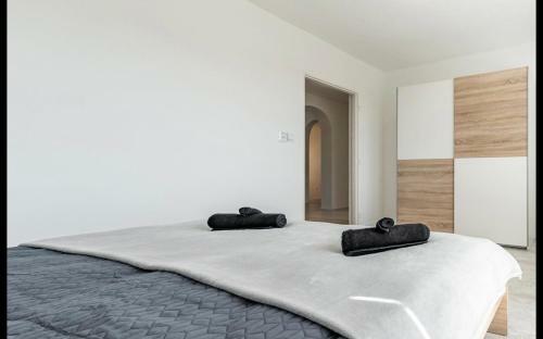 Smith Apartment