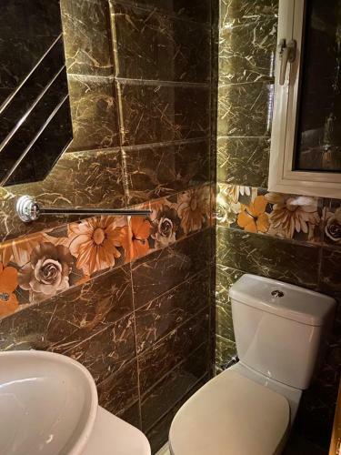 Apartment For Renting In Cairo, El Zamalek