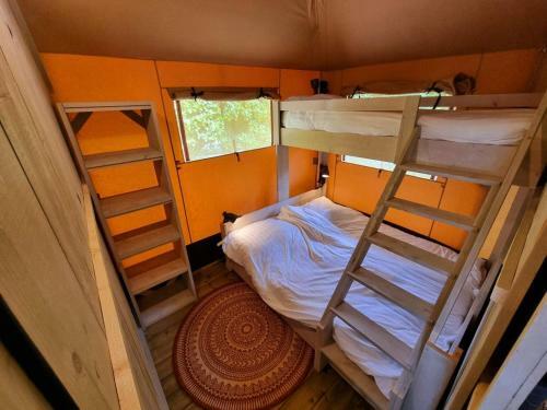 Safaritent, Medley Lodge, 7 Personen