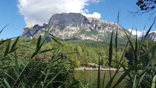 Gartenhotel V�lser Hof