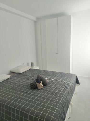 Apartamento Surfers Lodge
