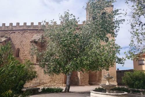 Apartamento La Gatera 2d Bajo Aragon - Matarra�a