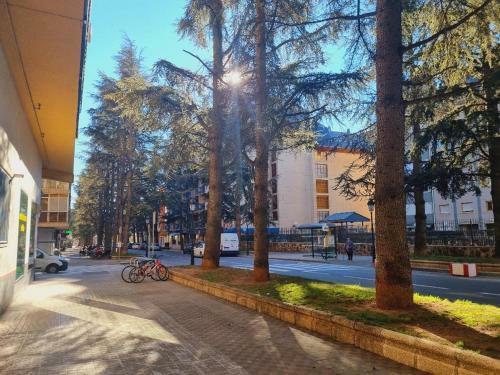 Apartamento Alojamiento Avenida Francia Jaca