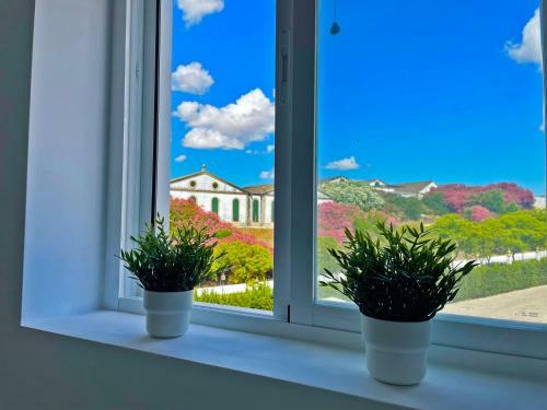 Apartamento La Veleta - Ole Solutions