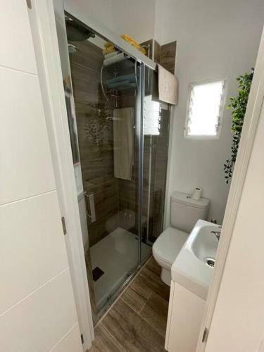 Apartamento Atico Duplex Con Terraza En Pleno Centro de Jerez