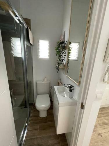 Apartamento Atico Duplex Con Terraza En Pleno Centro de Jerez