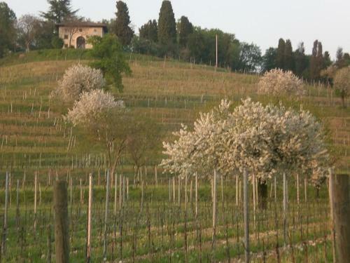 Agroturismo Agriturismo Giorgio Colutta