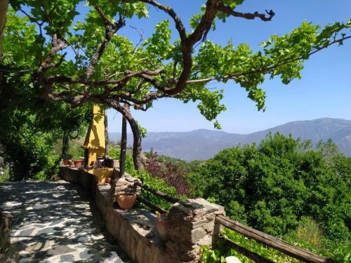 Bed & Breakfast Cortijo La Chaparra