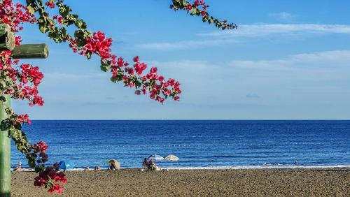 Apartamento Atico En Primera L�nea de Playa de Melenara