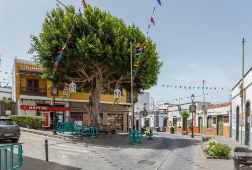 Apartamento Flatguest La Montaneta Moya 1