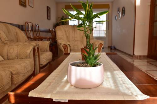 Bed & Breakfast Casa Raichu
