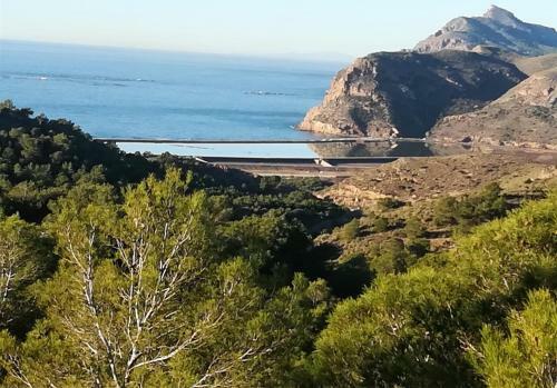 Los Robles 6 Portman