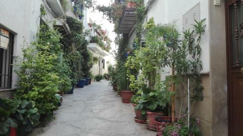 Apartamento Casa Parque Natural
