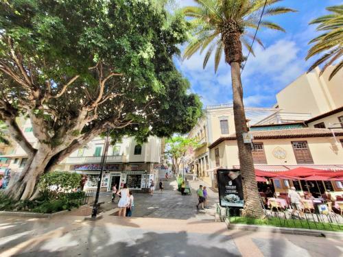 Apartamento Central Plaza