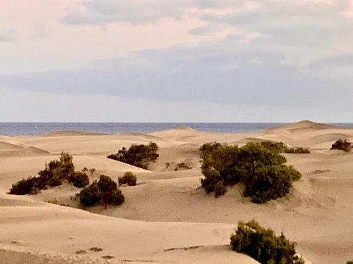 Apartamento Sea And Dunes In The Sun