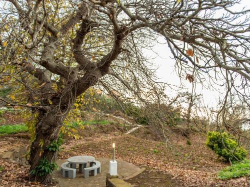 Holiday Home, Finca de Los Casta�os