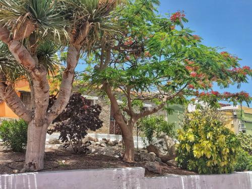 Casa En La Ladera - Real Vibe - Beach & Mountain