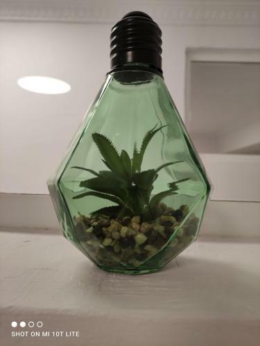 Apartamento El Mercado