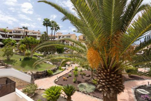 Apartamento Oceanfront Tenerife South Albatros 254