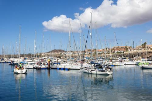 Apartamento Oceanfront Tenerife South Albatros 254
