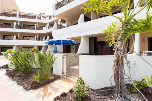 Apartamento Oceanfront Tenerife South Albatros 125