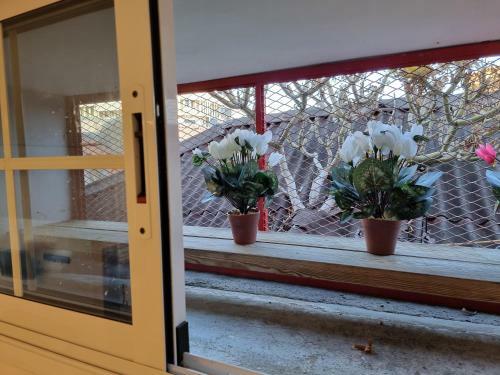 Apartamento En El Casco Historico de Santa Cruz