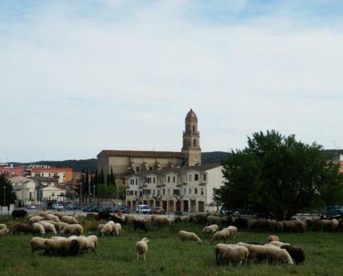 Apartament Torrellenc