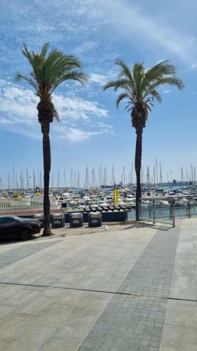 Cristina Apartments La Mata -torrevieja