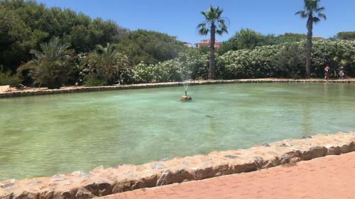 Apartment Near La Mata Beach