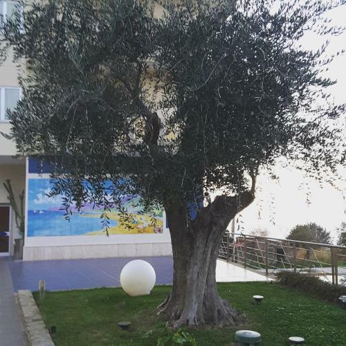 Hotel Il Faro