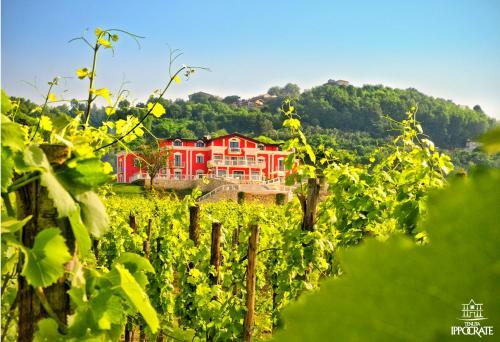 Agroturismo Tenuta Ippocrate