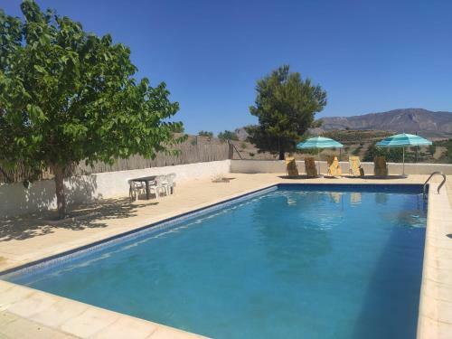 Cortijo El �lamo