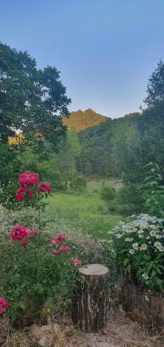 Cortijo De Las Ca�adas