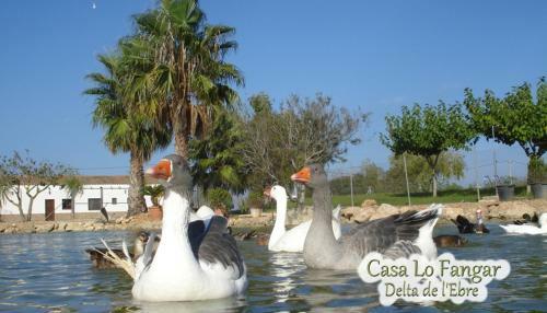 Apartamento Casa Lo Fangar - Delta de L'ebre