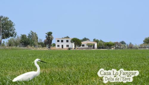 Apartamento Casa Lo Fangar - Delta de L'ebre