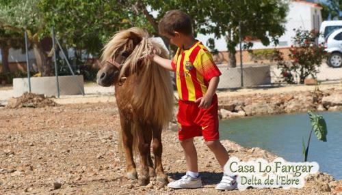 Apartamento Casa Lo Fangar - Delta de L'ebre
