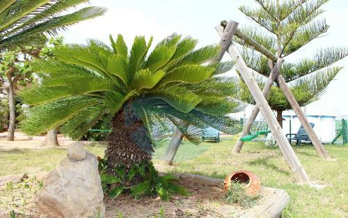 Pagall - Casa Rural Con Piscina Privada Y Cerca La Playa de Riumar