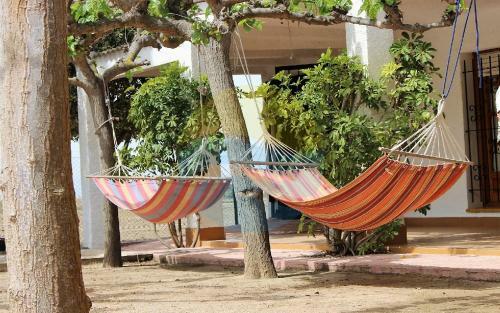 Pagall - Casa Rural Con Piscina Privada Y Cerca La Playa de Riumar