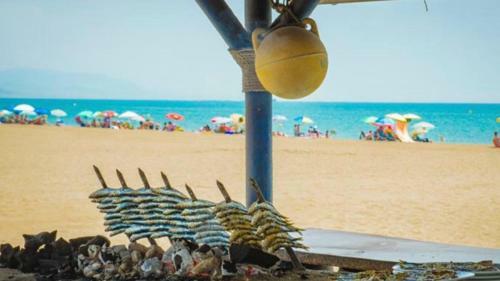 171 - Mi Capricho Beachfront Apartment In The Costa Del Sol