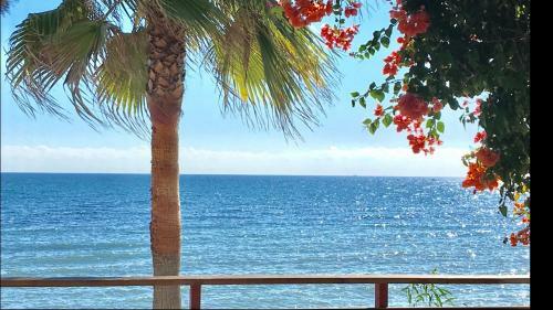 171 - Mi Capricho Beachfront Apartment In The Costa Del Sol